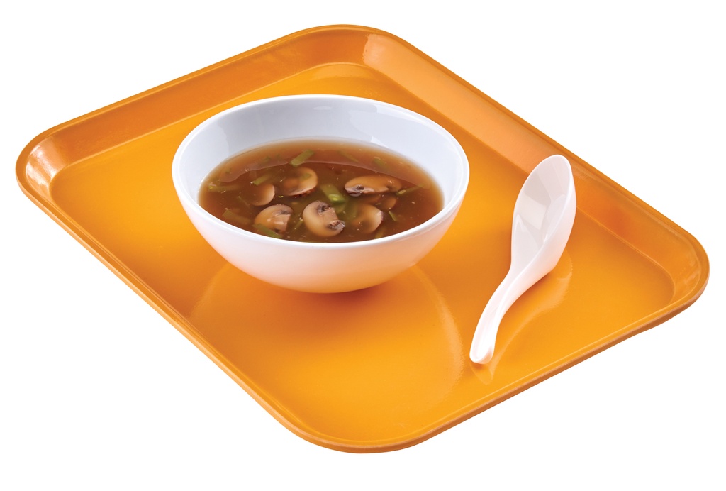 Tácka CAMTRAY 32x45